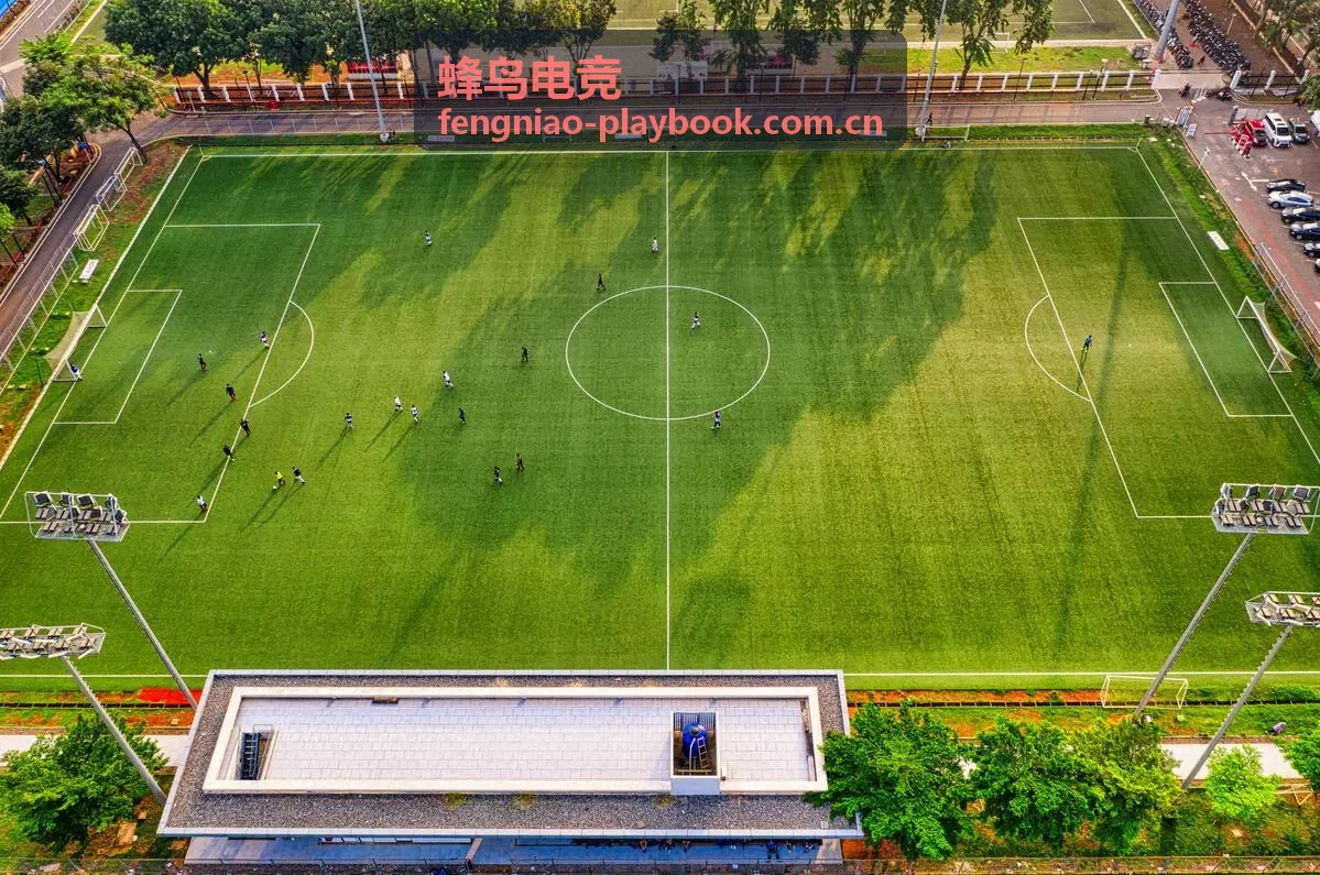 蜂鸟电竞记录的战队比赛准备场景